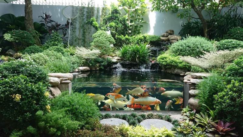 Bể cá bằng kính đặt giữa sân vườn giúp tạo điểm nhấn cho không gian xanh mát